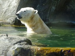 Tiergarten Schönbrunn am 05.03.2026